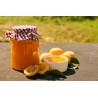 Organic Apricot Compote from Provence - Direct Producer