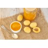 Organic Apricot Compote from Provence - Direct Producer