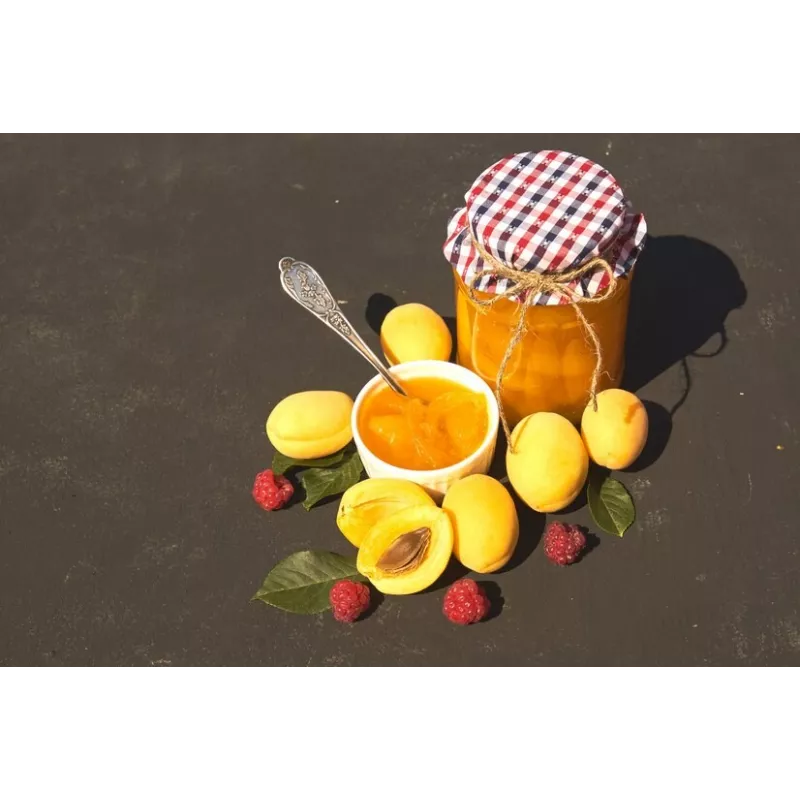 Compote d'Abricots bio de Provence - Direct Producteur