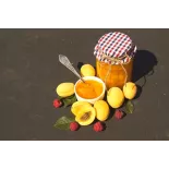 Compote d'Abricots bio de Provence - Direct Producteur