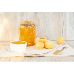 Organic Apricot Compote from Provence - Direct Producer