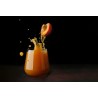 Organic red apricot vinegar PDO from Roussillon Made in France- Dir...