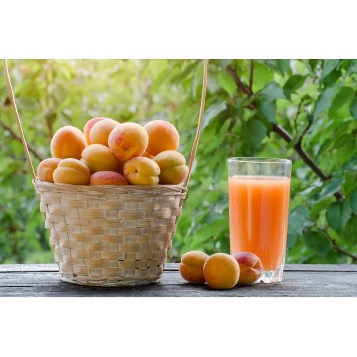 Organic red apricot vinegar PDO from Roussillon Made in France- Dir...