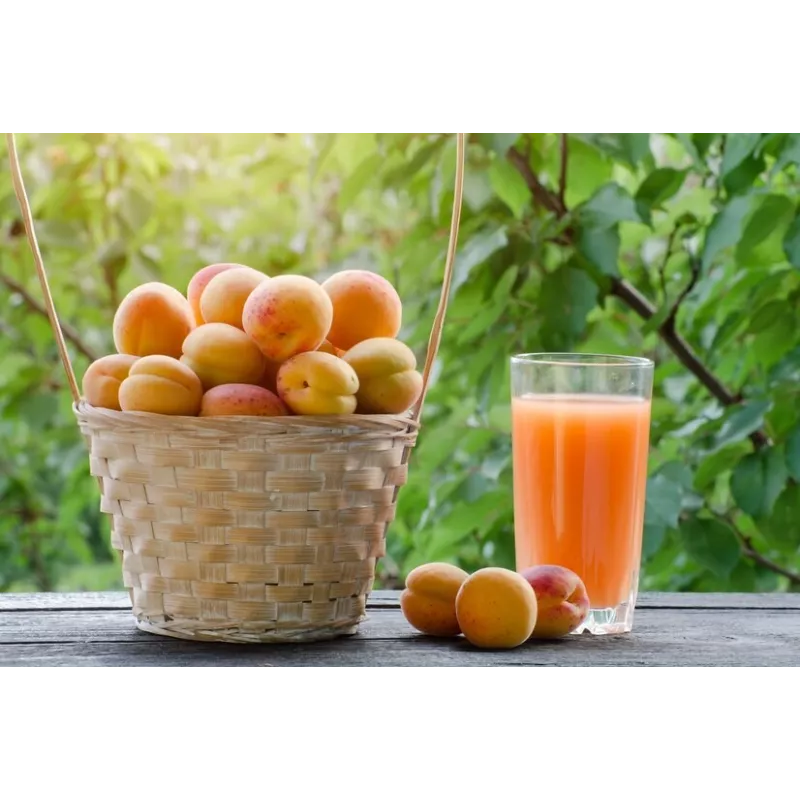Organic red apricot vinegar PDO from Roussillon Made in France- Dir...