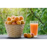Organic red apricot vinegar PDO from Roussillon Made in France- Dir...