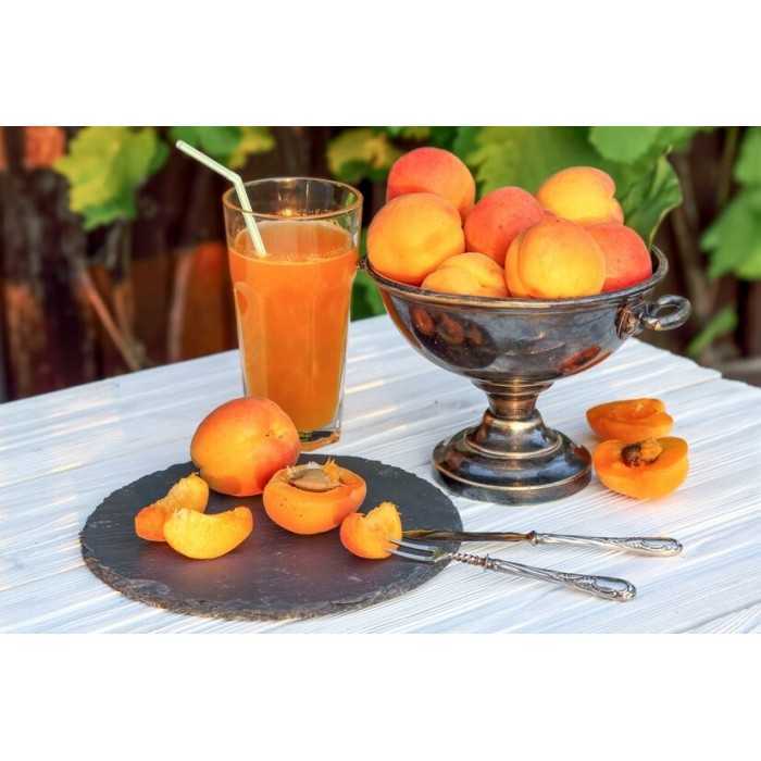 Organic Apricot Nectar from Provence - Direct producer