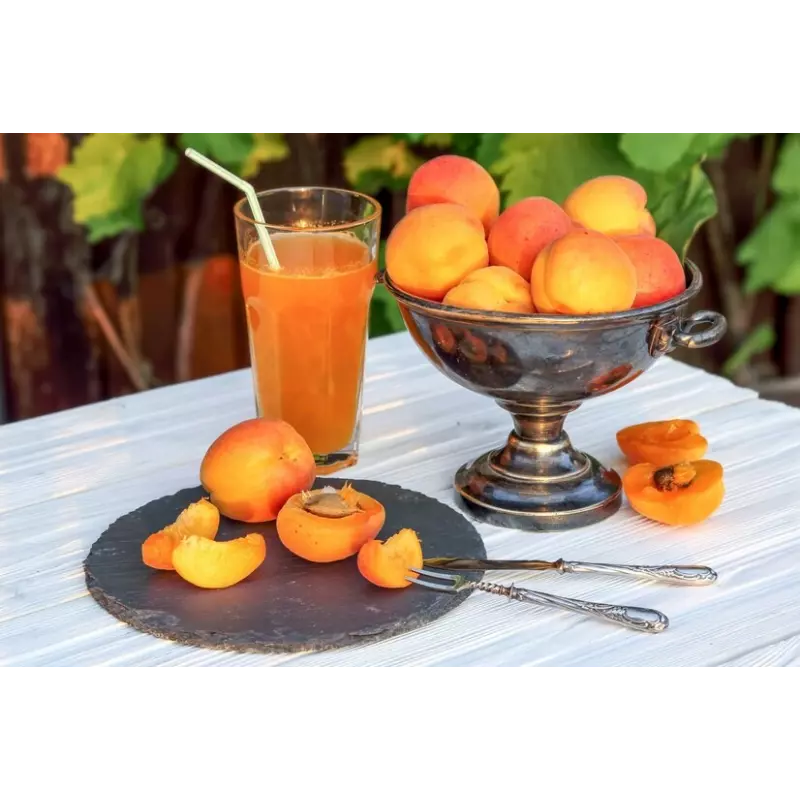 Organic Apricot Nectar from Provence - Direct producer