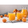 Organic Apricot Nectar from Provence - Direct producer