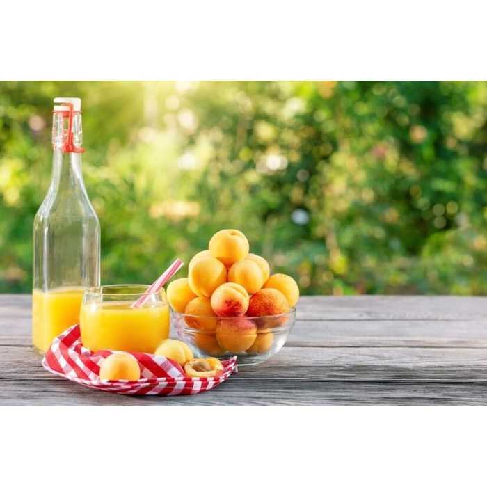 Organic Apricot Nectar from Provence - Direct producer