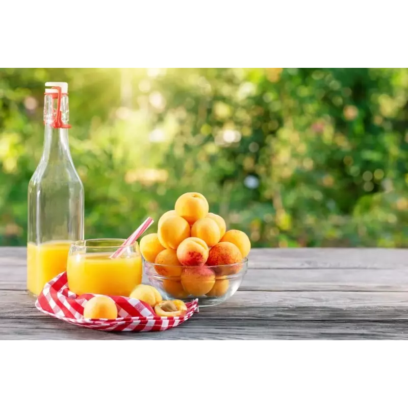 Organic Apricot Nectar from Provence - Direct producer