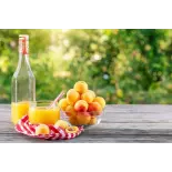 Organic Apricot Nectar from Provence - Direct producer Organic Apricot Nectar from Provence - Direct producer