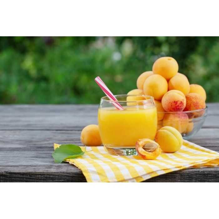 Organic Apricot Nectar from Provence - Direct producer