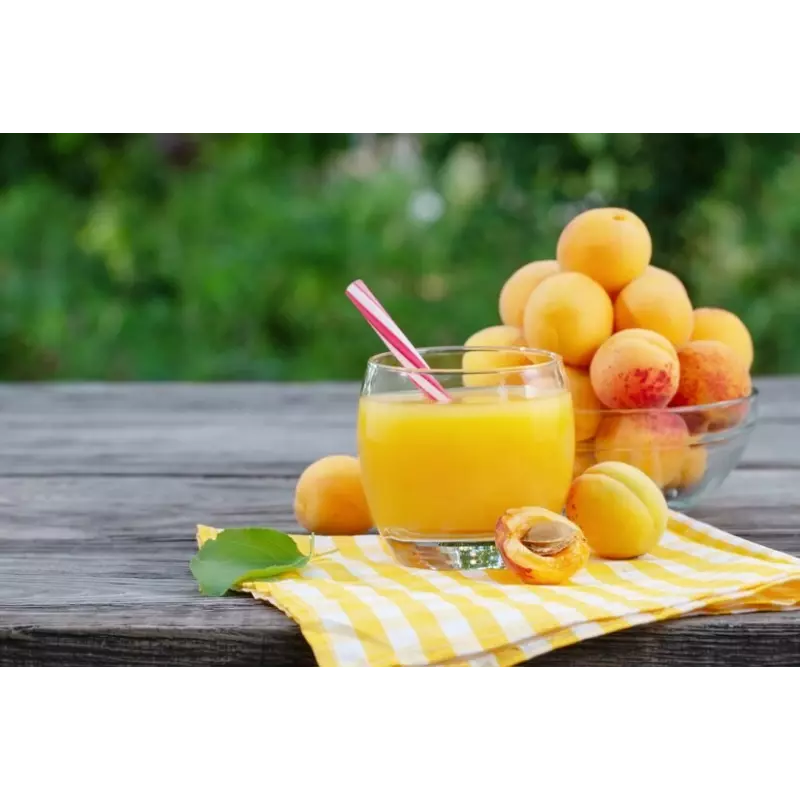 Organic Apricot Nectar from Provence - Direct producer