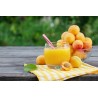 Organic Apricot Nectar from Provence - Direct producer