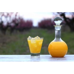 Organic Apricot Nectar from Provence - Direct producer