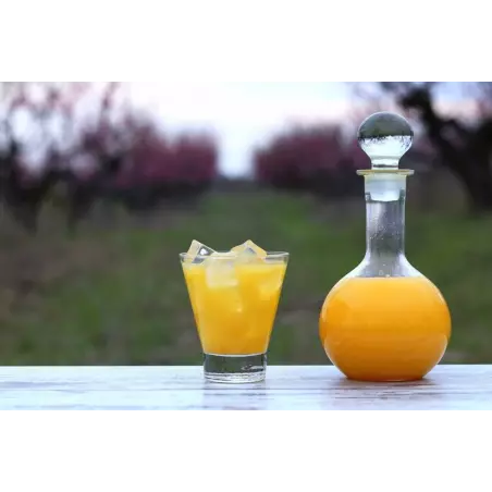 Nectar d'Abricots bio de Provence - Direct producteur