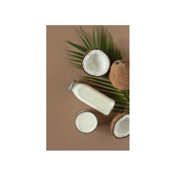 Organic almond & coconut milk made in France - direct producer