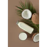 Lait d'Amandes & coconut bio made in France - direct producteur