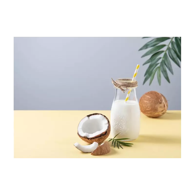 Organic coconut milk made in France - direct producer