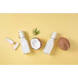 Organic coconut milk made in France - direct producer Organic coconut milk made in France - direct producer