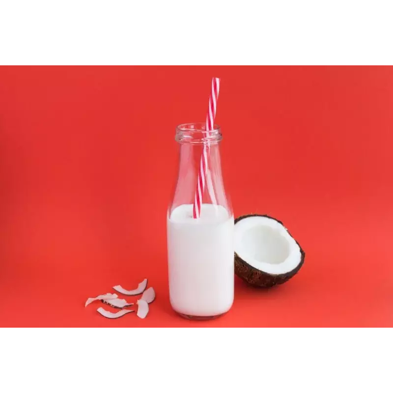 Organic coconut milk made in France - direct producer