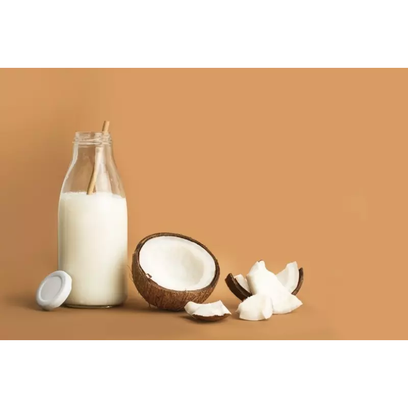 Organic coconut milk made in France - direct producer