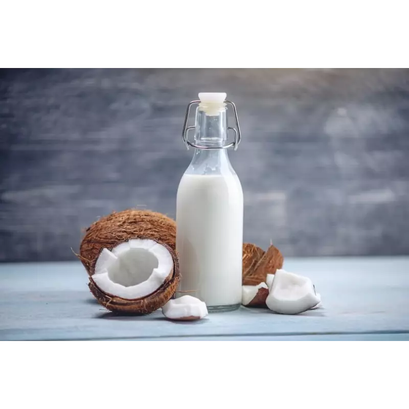 Organic coconut milk made in France - direct producer