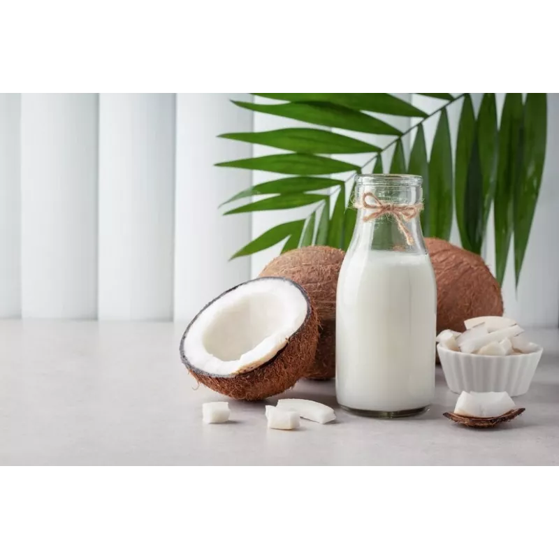 Lait de coco bio made in France - direct producteur