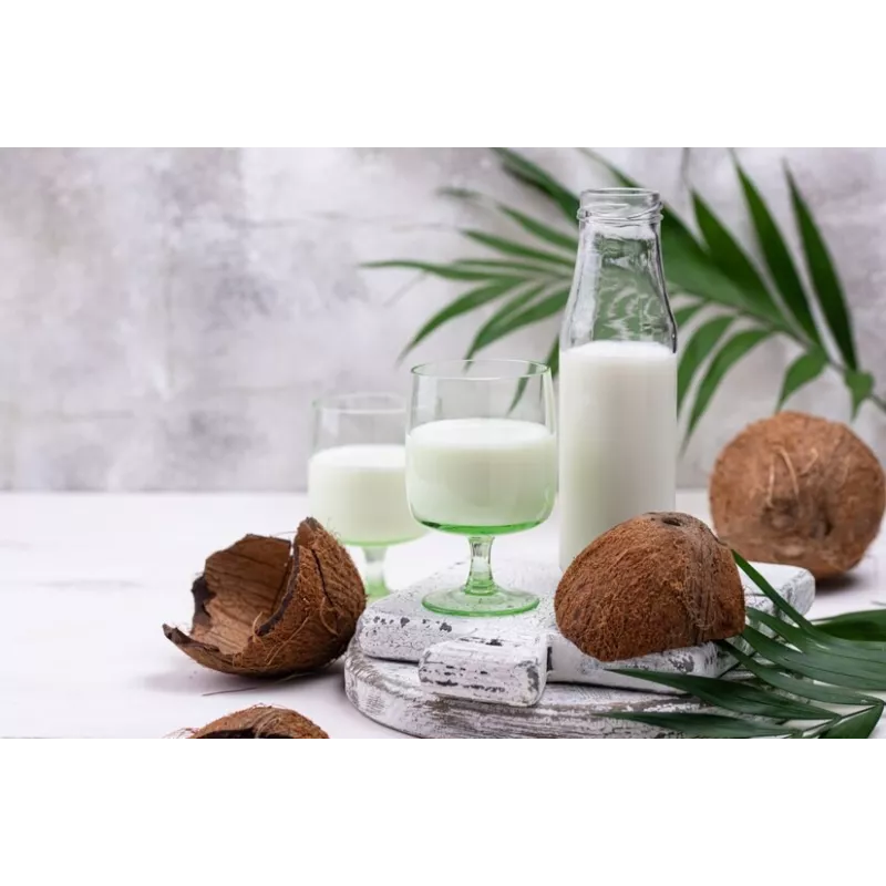 Lait de coco bio made in France - direct producteur