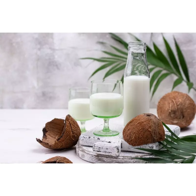 Organic coconut milk made in France - direct producer