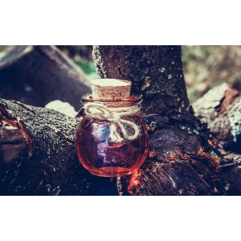 Organic fig vinegar from Canigou made in France - Direct producer