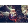 Organic fig vinegar from Canigou made in France - Direct producer