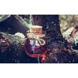 Organic fig vinegar from Canigou made in France - Direct producer