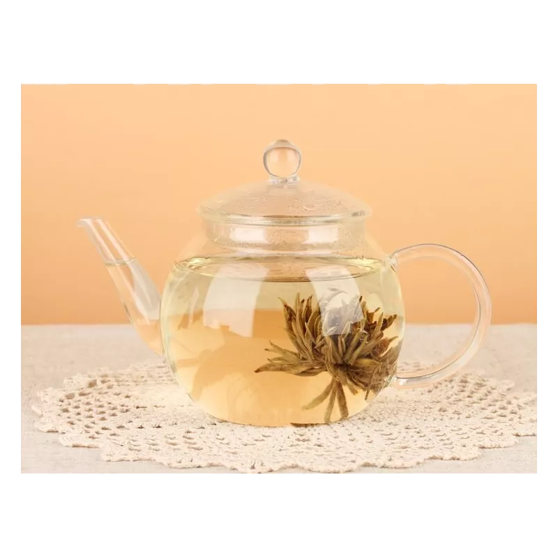 Théière en verre borosilicate avec infuseur en verre et filtre