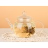Borosilicate glass teapot with glass infuser and filter
