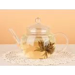 Théière en verre borosilicate avec infuseur en verre et filtre