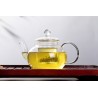 Borosilicate glass teapot with glass infuser and filter