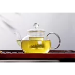Théière en verre borosilicate avec infuseur en verre et filtre