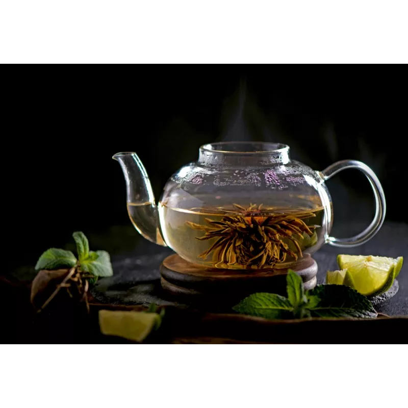 Théière en verre borosilicate avec infuseur en verre et filtre