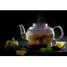 Borosilicate glass teapot with glass infuser and filter
