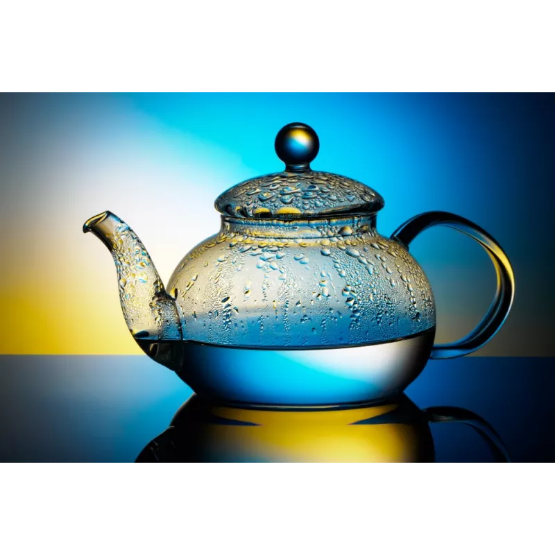 Théière en verre borosilicate avec infuseur en verre et filtre