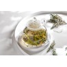 Borosilicate glass teapot with glass infuser and filter