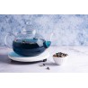 Borosilicate glass teapot with glass infuser and filter