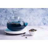 Théière en verre borosilicate avec infuseur en verre et filtre