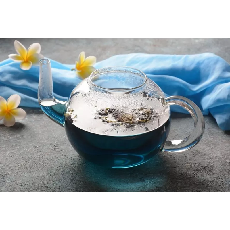 Théière en verre borosilicate avec infuseur en verre et filtre