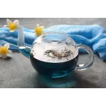 Théière en verre borosilicate avec infuseur en verre et filtre