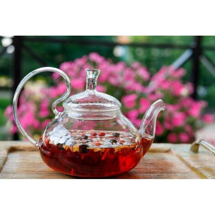 Elegant borosilicate glass teapot with glass infuser and filter