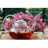 Elegant borosilicate glass teapot with glass infuser and filter