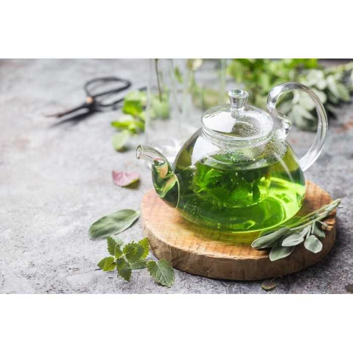 Elegant borosilicate glass teapot with glass infuser and filter