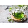 Elegant borosilicate glass teapot with glass infuser and filter